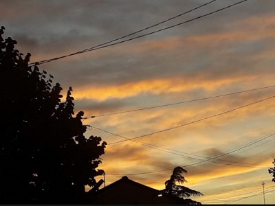 Fuensanta Fernandez Estepa