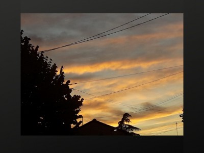 Fuensanta Fernandez Estepa