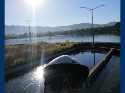 Daniel  Flores Martínez 