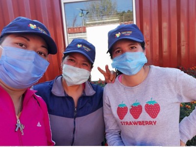 María Zulema  López Arredondo 