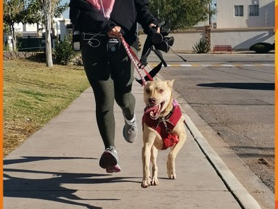 José Antonio  Hernández Martínez 