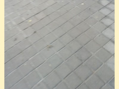 Raquel  Andrés Sánchez 