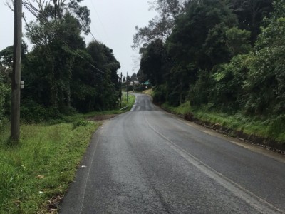 José Carlos  Hernandez Ortega 