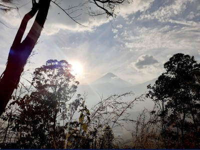 Nelson Estuardo  Ramírez Ortiz 