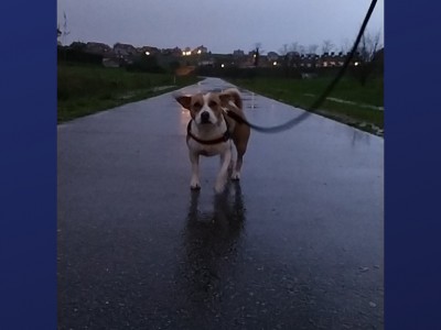 Alexandra Alcalde Rodriguez