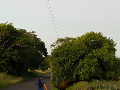 Evelyn  Hernandez Garcia