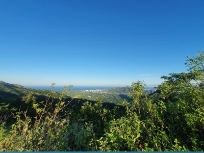 Santiago Alarcón Acosta