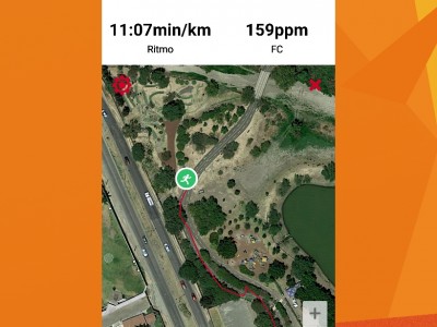 Luisa María Segoviano Amaro