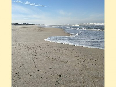 Alberto Virosta Merino