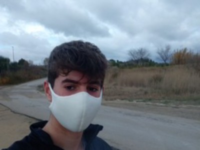 Beltrán Francés Faure