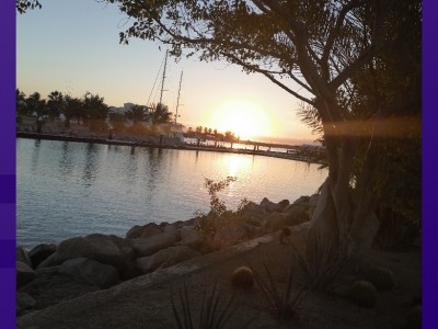 Alma Lidia Romero Valdez