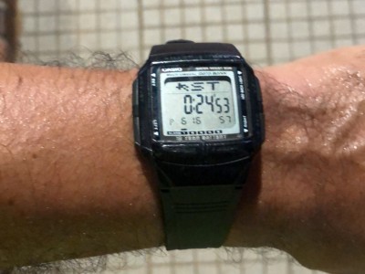 Oscar Omar  Renteria González