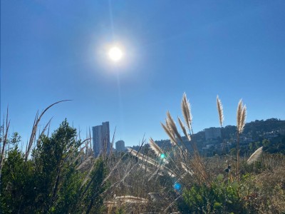 Mauricio  Hernández 