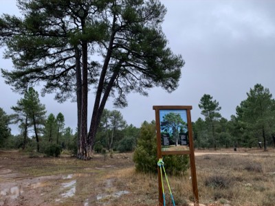 Nacho Laserna Herraiz