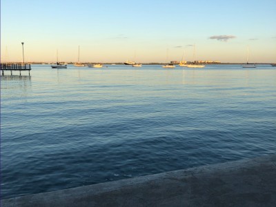 reyna carreño perez