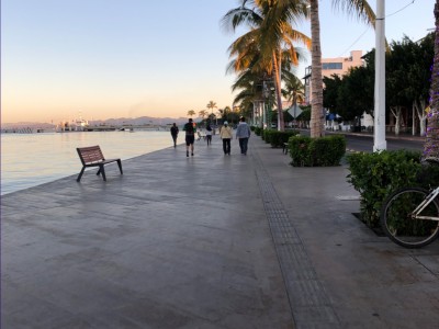 reyna carreño perez