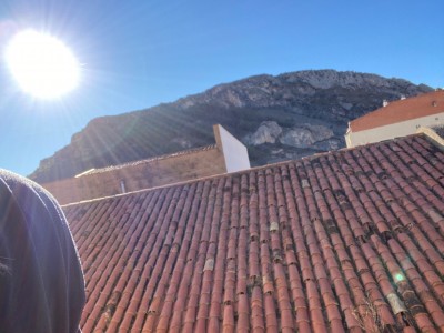 MªJose Solis Murguia