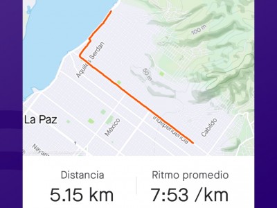 Alba Verónica De La Toba Camacho