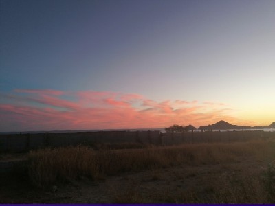 Leticia Isabel  Rodríguez Murillo 