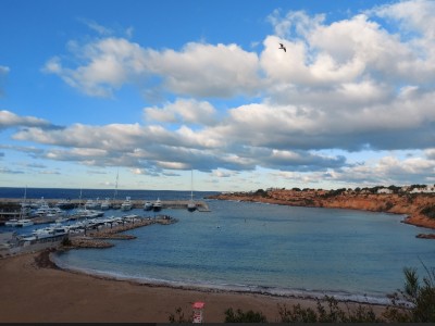 Julia Cordón Pérez 