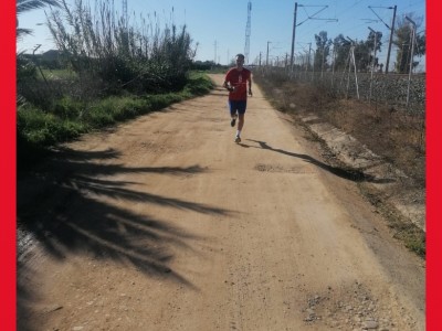 Fernando  Gómez Mancha