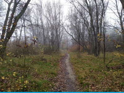 José Manuel Ambrona