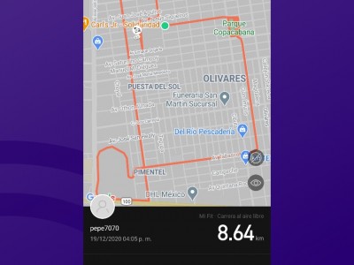 José Manuel Silva Moreno