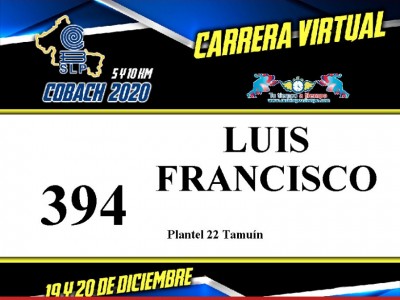 Luis Francisco garza flores