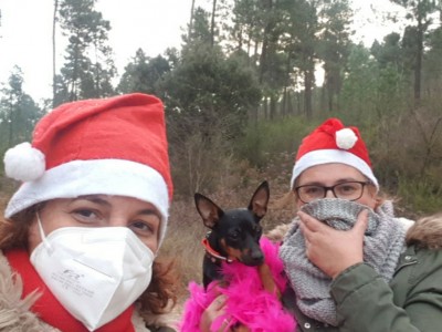 SUSANA GONZÁLEZ VIADEL 