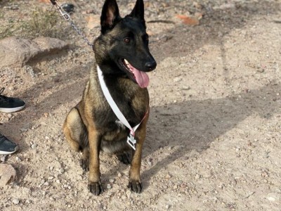 María José  Zapata López