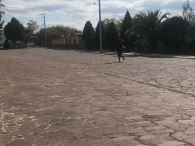 América Sofía  Castillo Torres