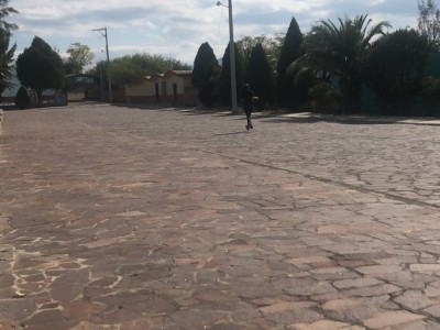 América Sofía  Castillo Torres