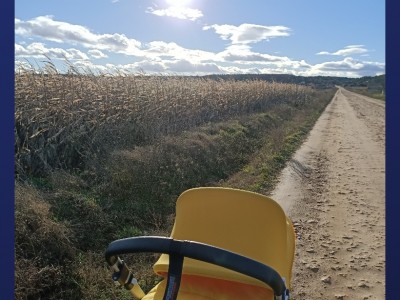 Susana Fraile González