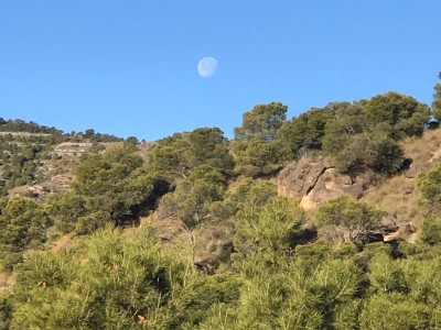 mgertru cuadrado bayonas