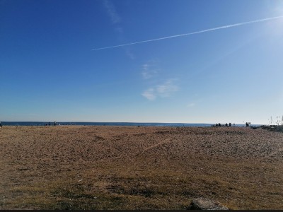 Ana Belén Rogido Sánchez