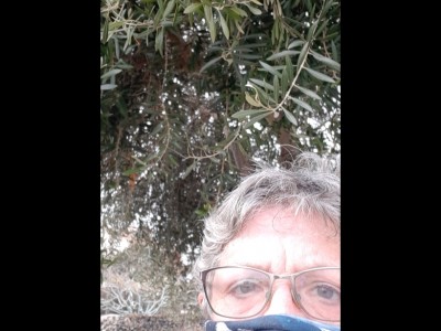 Aurora Bartra Quilez