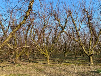 Núria  Garcia Garcia