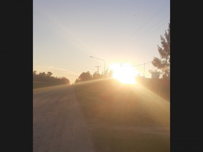 FLAVIA VANESA  ALDRIAN