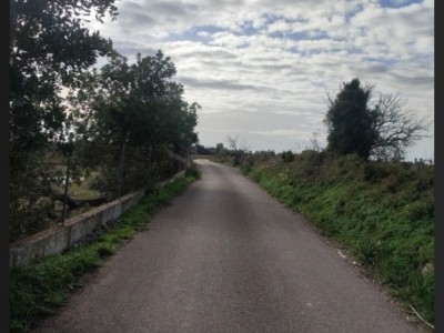 Alejandra Gabriela Santos Romero