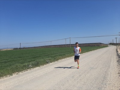 Josep Maria ribes borràs