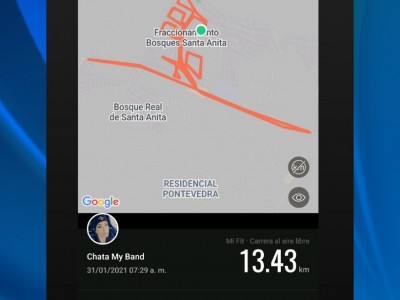 Alejandra  Hitos Fájer