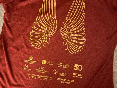 María del Carmen  Piñon Sánchez del Villar 