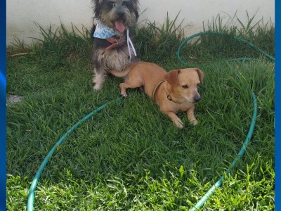 Gustavo Chávez González