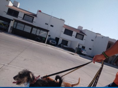 Gustavo Chávez González