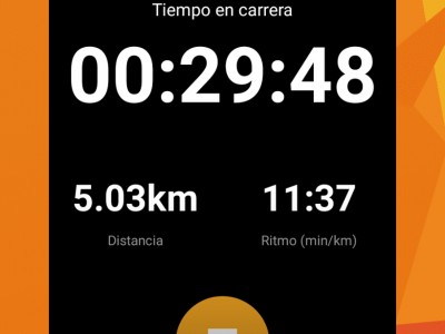 Guadalupe Flores Díaz