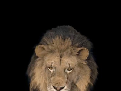 Galdino Ranchal Fernández