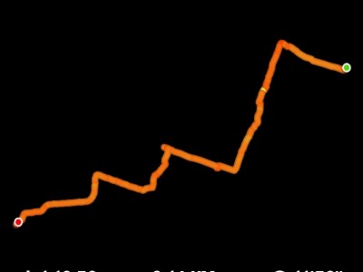 Leticia Orduña Torres