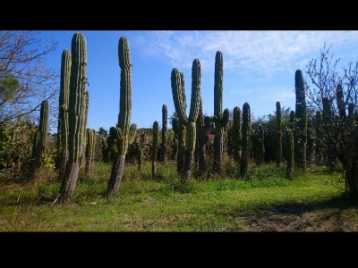 Mari Carmen Rodríguez luque