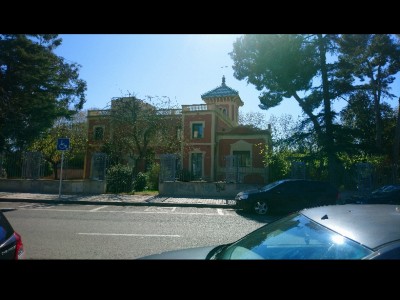 Mari Carmen Rodríguez luque