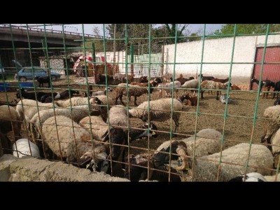 Mari Carmen Rodríguez luque